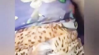 بتكلم حبيبها في التليفون وهي بتتناك من غيره الشرموطة - سكس مصري فاجر