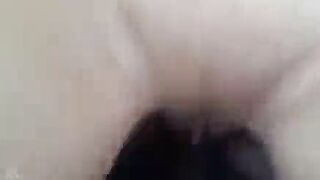 جزائرية تخون جوزها مع مديرها في الشغل تركب معاه السيارة واحلي نيك - سكس خيانة جزائري